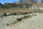 PICTURES/Dinosaur Tracks -  Hole-In-The-Rock Road/t_P1260067.JPG